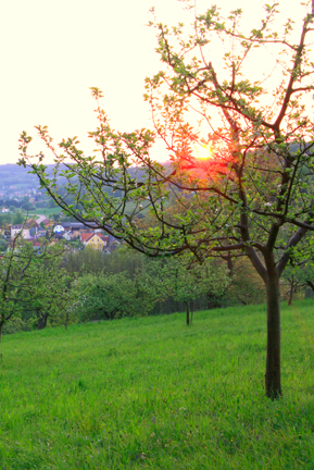 Südburgenland