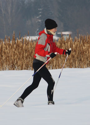 Winter im Sonnengartl